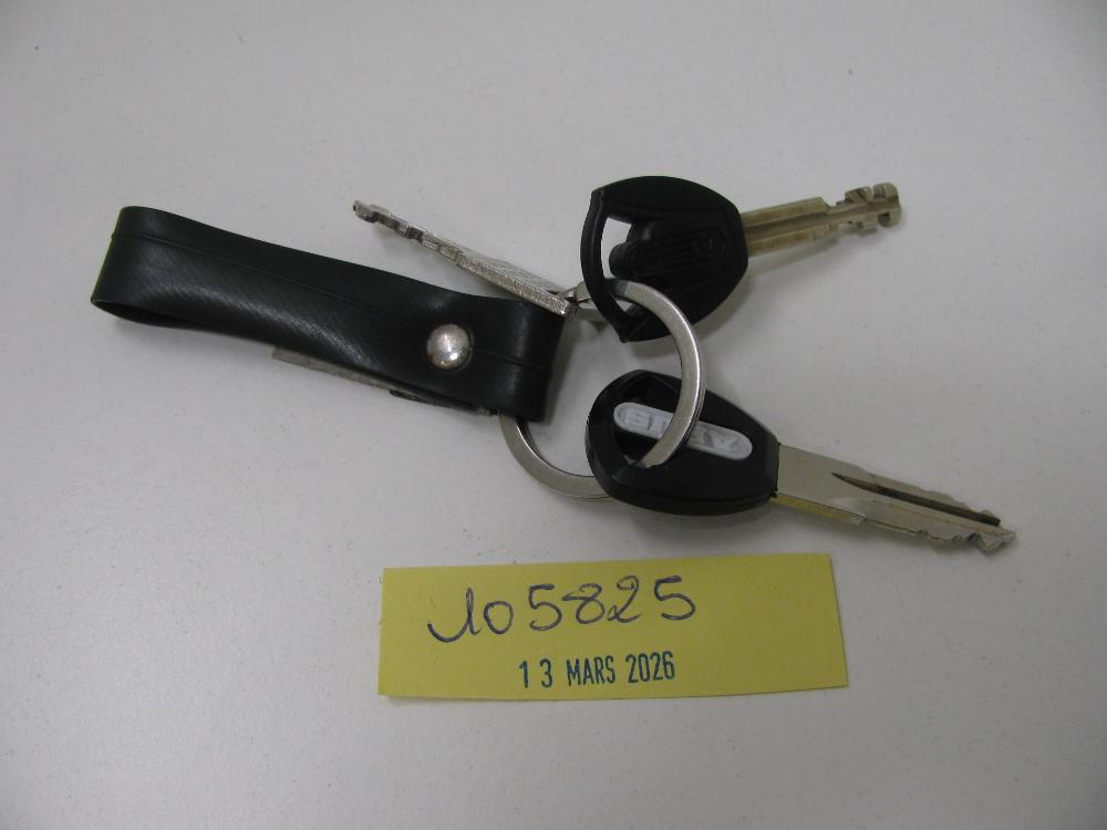 Clés : N° 2026001447 Trouvé(e) le : Fri Mar 13 00:00:00 CET 2026