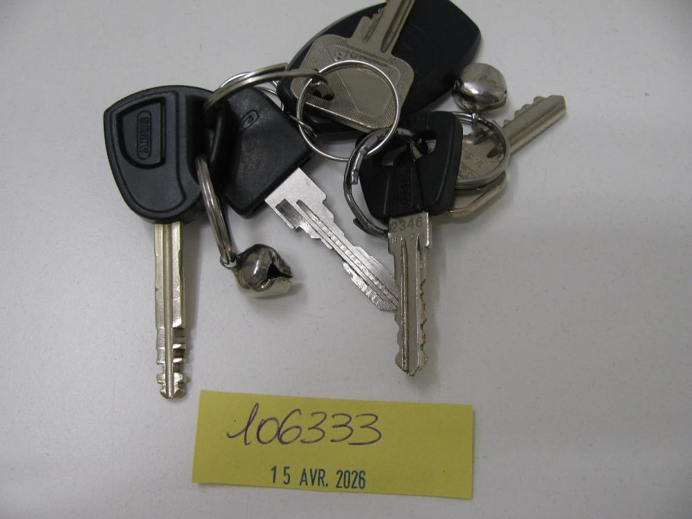 Clés : N° 2026001955 Trouvé(e) le : Wed Apr 15 00:00:00 CEST 2026