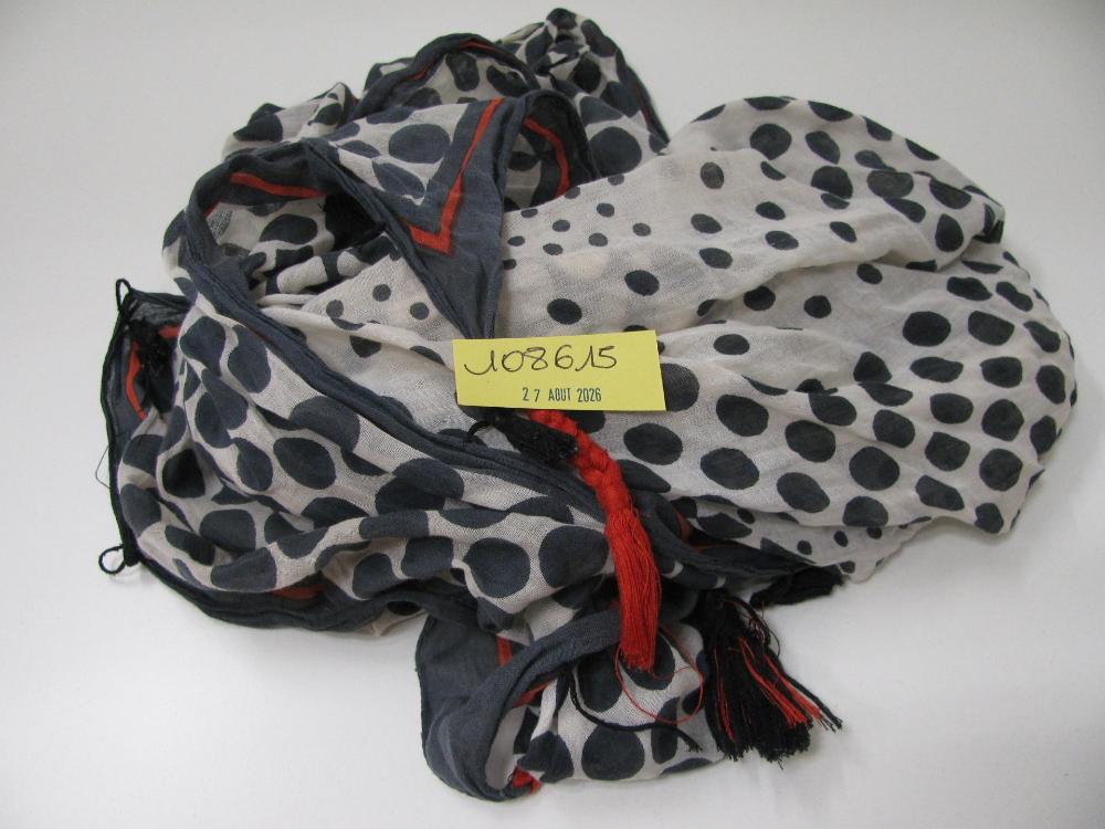 Vêtements, chaussures, accessoires : N° 2026004237 Trouvé(e) le : Thu Aug 27 00:00:00 CEST 2026