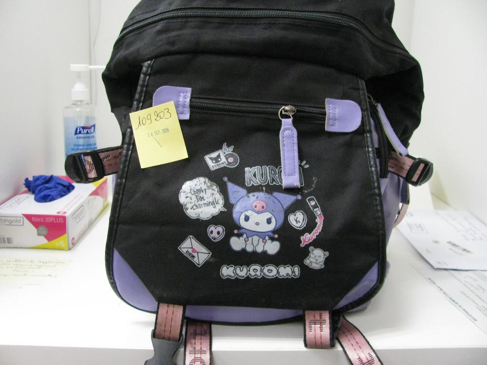 Sacs, valises : N° 2026004825 Trouvé(e) le : Mon Sep 28 00:00:00 CEST 2026