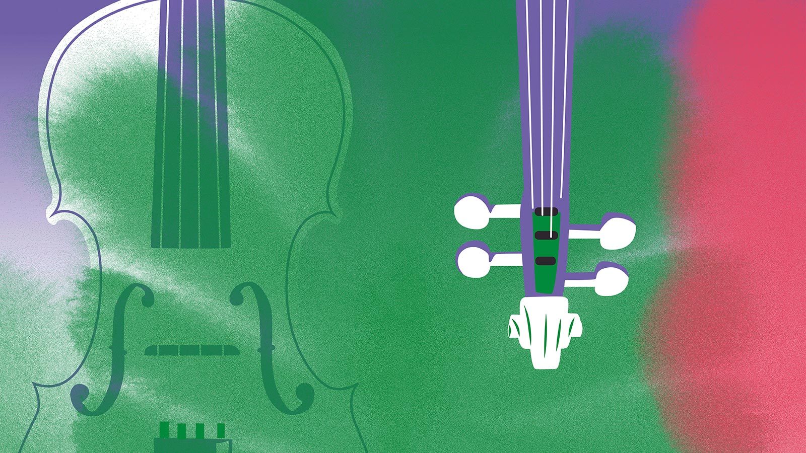 À la découverte des instruments : les cordes